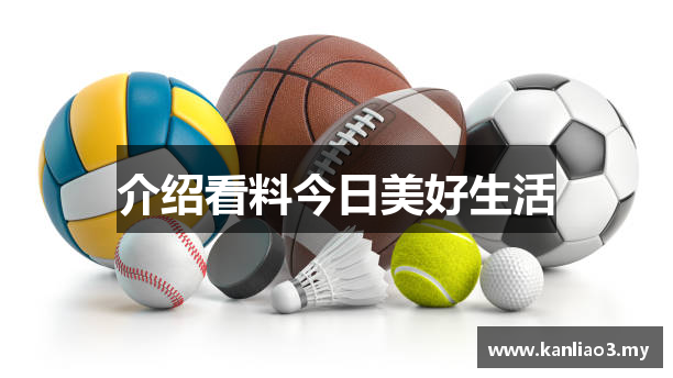 介绍看料今日美好生活